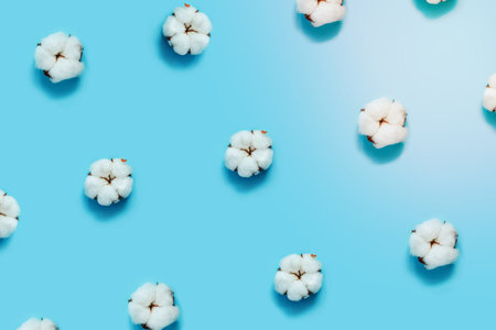 Zero waste pattern. Cotton flowers on blue background. Flat lay, top view, copy space.の写真素材