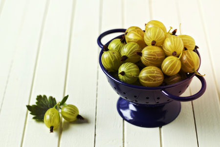 Fresh gooseberries in blue colander, summer berries harvestの写真素材