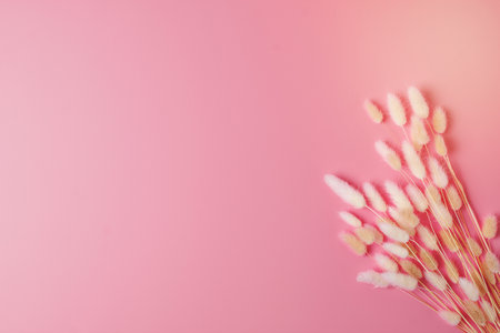 Cosmetic background with flowers on pink. Flat lay, copy spaceの写真素材