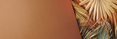 Tropical natural background with palm leaf on brown. Flat lay, copy spaceの写真素材
