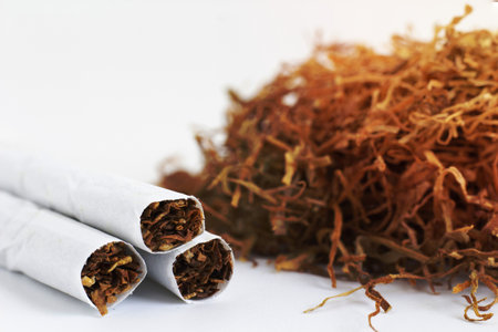 Cigarettes close-up on a background of dry tobacco. dying of cancer due to the use of tobacco and tobacco products.の写真素材