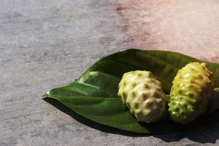 Fruit of Great morinda (Noni) or Morinda citrifolia tree and green leaf on stone background.の写真素材