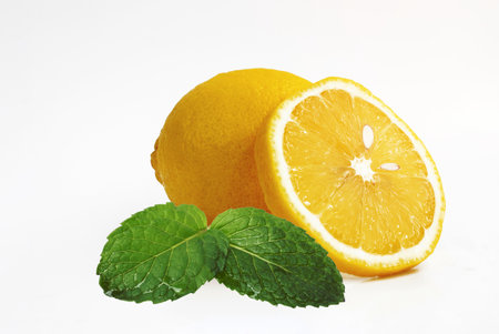 Lemon and mint isolated on white backgroundの写真素材