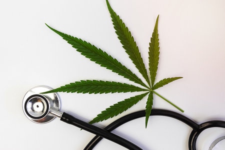 Marijuana leaf and stethoscope for alternative medicine use on white backgroundの写真素材