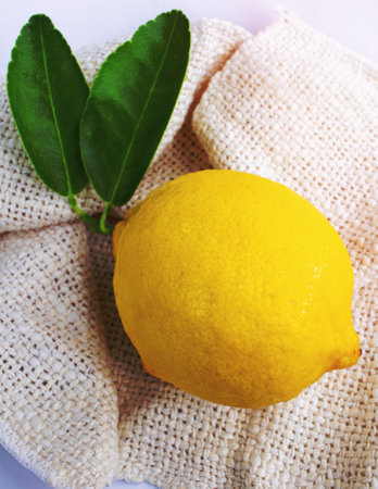 Lemons with leaves on a white background.の写真素材