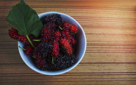 White cup with fresh sweet mulberries  berries and green leafの写真素材