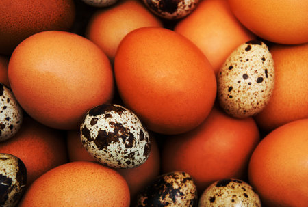 different types of eggs - food background