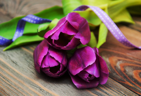 Tulips with ribbon on a wooden backgroundの写真素材