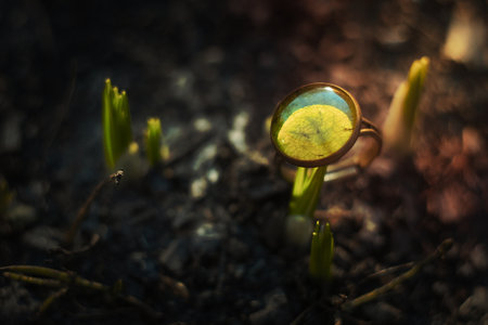 Close up craft ring with natural leaf concept photo. Trendy bijouterie. Side view photography with...