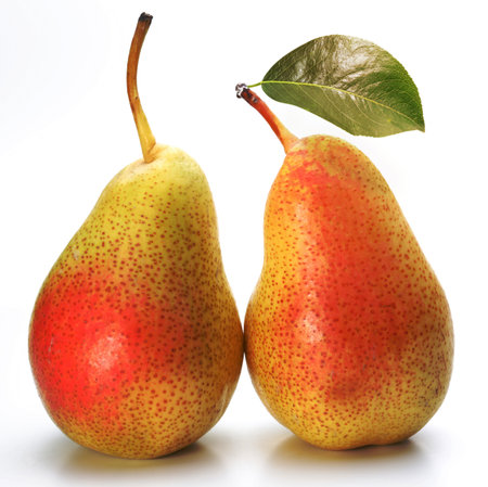 Two appetizing pears with a leaf. Isolated on a white background.の写真素材