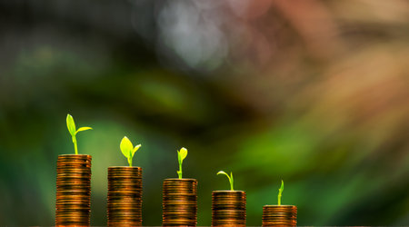 Business Finance and Money concept,Save money for prepare in the future.tree growing on coin of...
