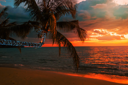 Beautiful sunset tropical beach with palm tree and illuminated for travel in holiday relax time,の写真素材