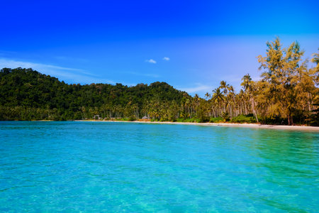 Beautiful tropical beach as summer seascape with blue sky for travel in holiday relax time,on nature background at koh kood Thailandの写真素材