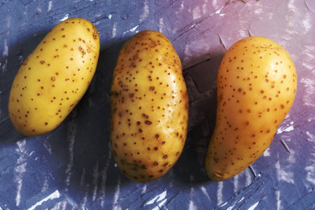 Potato on grey background close up, top view, healthy vegetable food concept.の写真素材