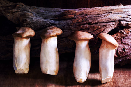 King oyster mushroom or erygii on wood background closeup, copy space, healthy food concept.の写真素材
