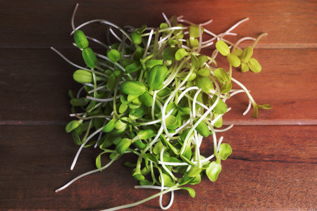Sunflower sprout microgreen healthy food on wood background top view, close up.の写真素材