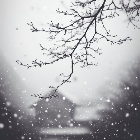 black and white photo of snow fallingの素材