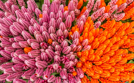Top view of color full flowers in springの素材