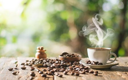 Morning cup of coffee espresso and coffee beans, The background nature blurの素材