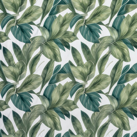 fresh tropical green leaves whiteの素材