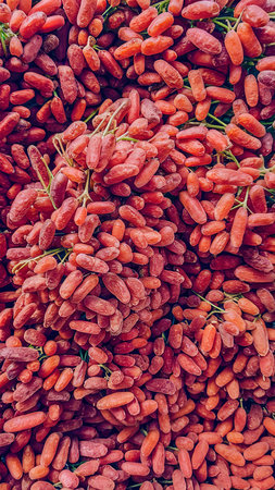 Goji berries. top viewの素材