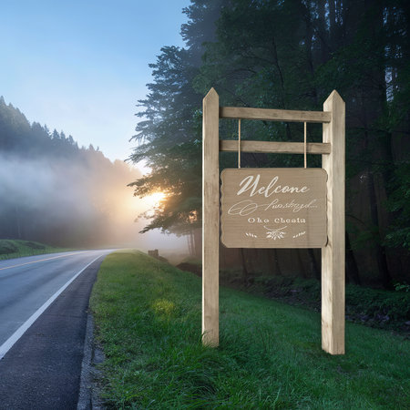 Passing place sign on a rural road in a misty dayの素材