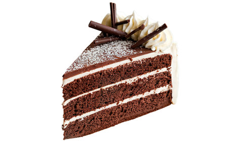 A photo of a slice of chocolate cake