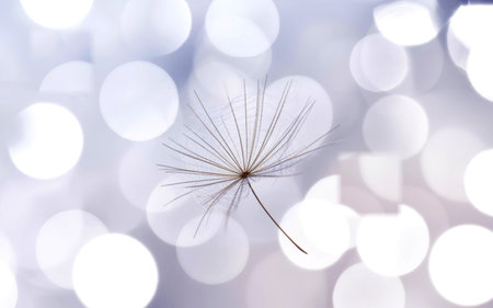 A close-up macro shot features a single, fragile dandelion seed with its parachute-like structure suspended against a blurred background of soft, glowing white and purple bokeh circles.の素材