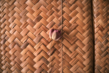 A single, partially bloomed pink lotus flower with a slender stem is placed centrally on a detailed,...