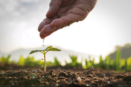 A close-up shot captures a hand carefully watering a small, green seedling emerging from rich soil....