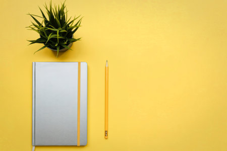 A top-down view of a silver notebook, a yellow pencil, and a spiky green plant arranged on a bright yellow surface.の写真素材