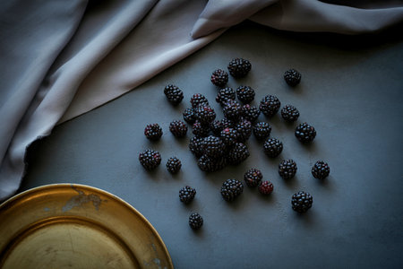 A moody overhead shot of dark berries, a golden rimmed dish, and draped fabric on a textured surface.の写真素材