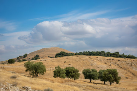 A landscape featuring dry, rolling hills dotted with trees, under a sky filled with dynamic clouds.の写真素材