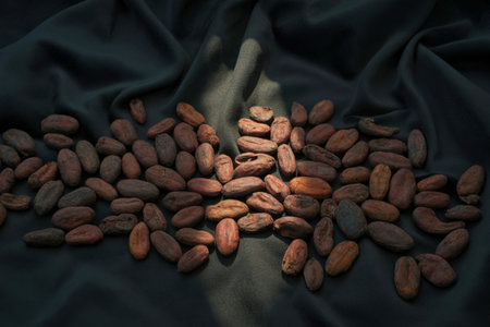 A collection of dried cocoa beans are spread across a dark, textured fabric, with a spotlight...