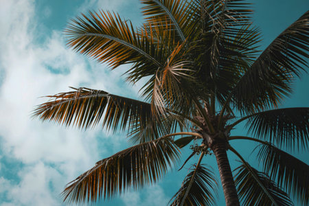 A low-angle shot captures the fronds of a lush palm tree reaching towards a dramatic, teal-tinted sky with wispy clouds.の写真素材