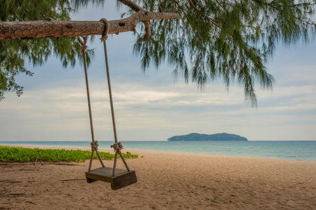 A rustic rope swing hangs from a tree branch, inviting relaxation on a sandy beach with calm turquoise waters and a small island in the distance.の写真素材