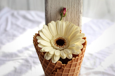 A single white gerbera daisy with a dark center blooms from a crisp waffle cone, set against a soft, textured white fabric.の写真素材
