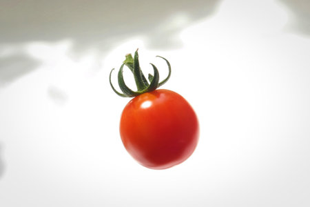 A single, plump, bright red cherry tomato hangs from its green stem and leaves against a bright, slightly out-of-focus background.の写真素材