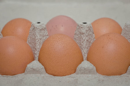 A close-up view of six brown eggs in a carton, with one pink egg among them.