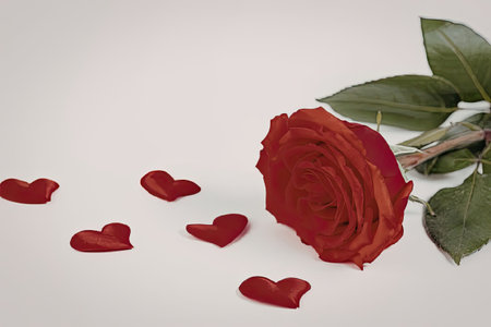 A single red rose with green leaves and small heart shaped petals on a white background