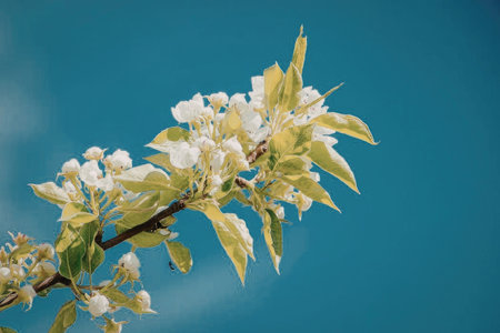 A branch with white flowers and green leaves set against a clear blue sky, symbolizing spring and...
