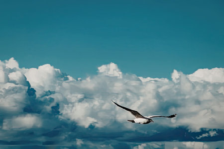 A bird flies through a clear blue sky with white clouds.