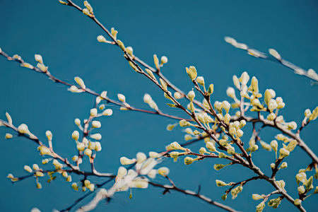 A close-up of tree branches with small green leaves against a clear blue sky.
