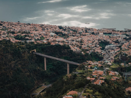 Cityscape with bridge over lush green valley in sentence case