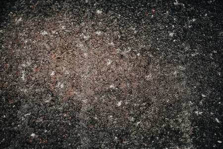 The image displays a dark textured surface with a central brown patch and speckles throughout.の写真素材