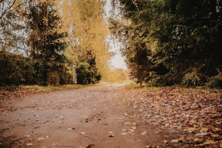 A dirt road covered with fallen autumn leaves, surrounded by trees with yellow and green foliage,...