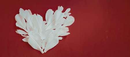 A white heart shaped flower on a red background, visually striking and symbolic image