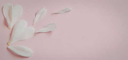 A close-up view of white flower petals scattered on a soft pink surface.