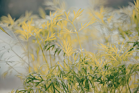 Fresh green foliage with blurred background