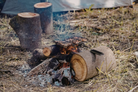 The image shows logs burning in a fire, with smoke rising and flames visible.